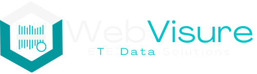 WebVisure logo
